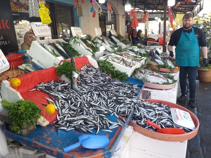 Zonguldak'ta bollaşan hamsinin fiyatı 50 liraya düştü