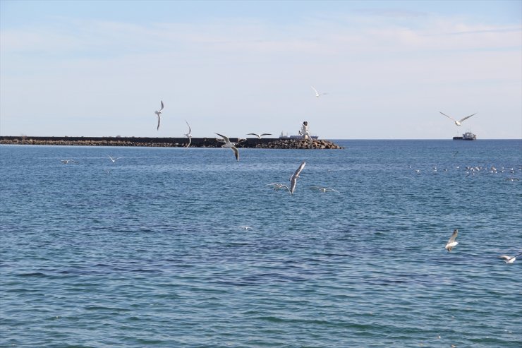 Tekirdağ'da deniz ulaşımı normale döndü