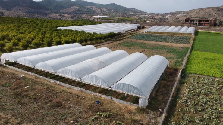 İnhisarlı kadınlar kurdukları kooperatifle hayallerini gerçekleştirdi