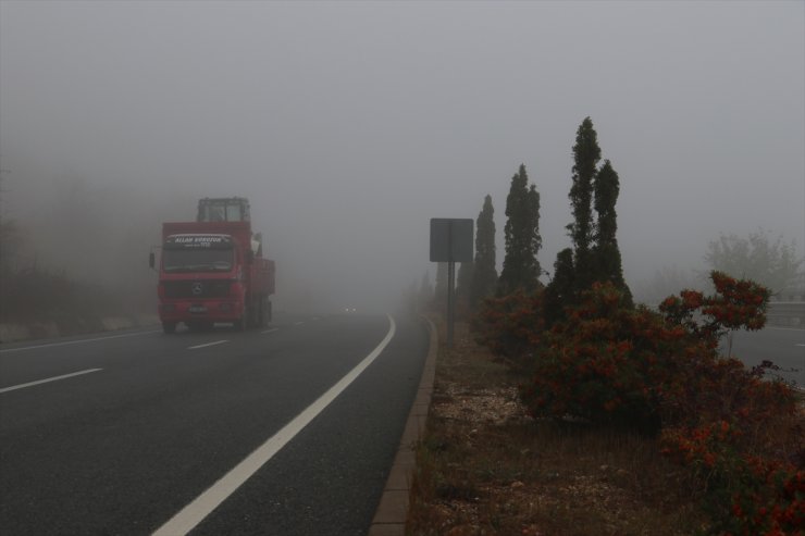 Kastamonu'da sis etkili oluyor