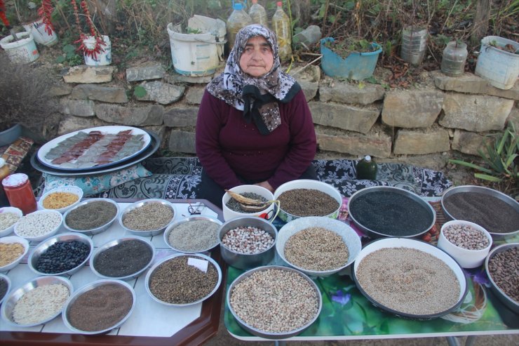 Ata mirası tohumları gelecek nesillere aktarmak için çaba gösteriyor