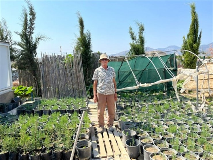 Muğla'da "Doğa Dede"nin bağışladığı fidanlar toprakla buluşuyor