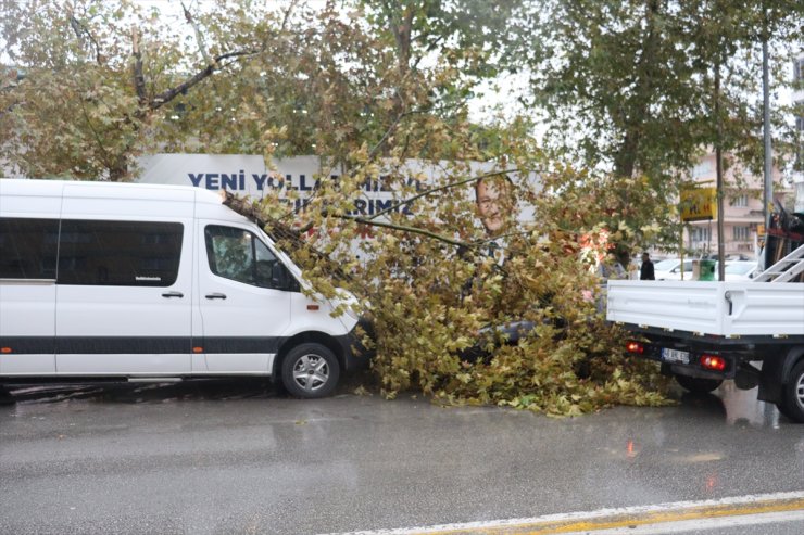 Denizli'de şiddetli rüzgar ve sağanak etkili oldu