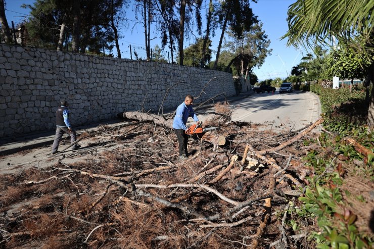 Adana'da şiddetli rüzgar etkili oldu