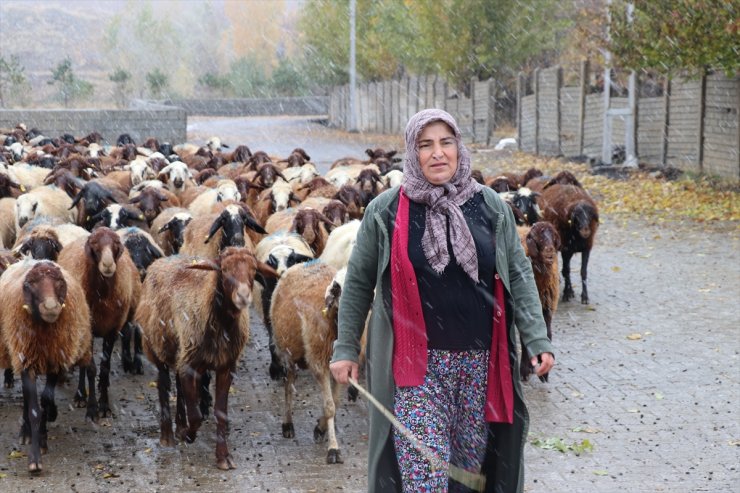 Erzincan'da çiftçi kadın devlet desteğiyle hayvan sayısını iki katına çıkardı