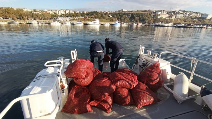 Tekirdağ'da 1 ton 500 kilogram kum midyesi ele geçirildi