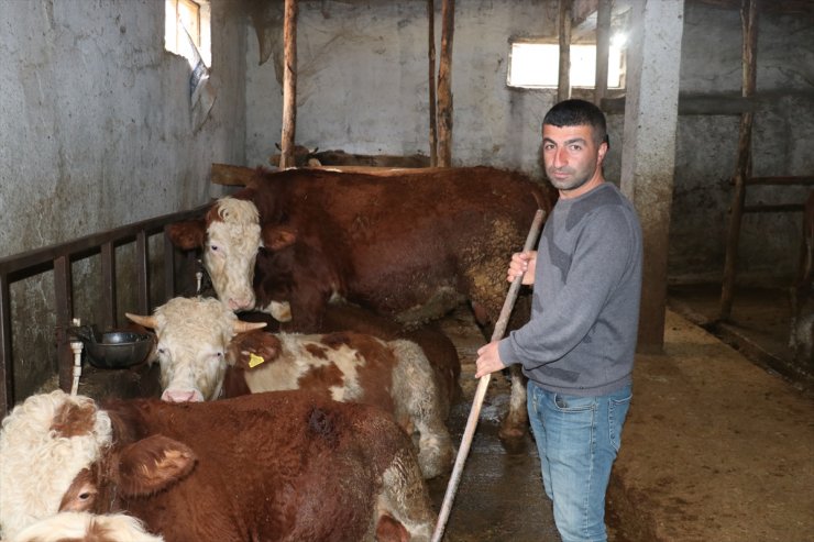 Ziraat mühendisi devletten aldığı hibeyle köyünde kalıp sürü sahibi oldu