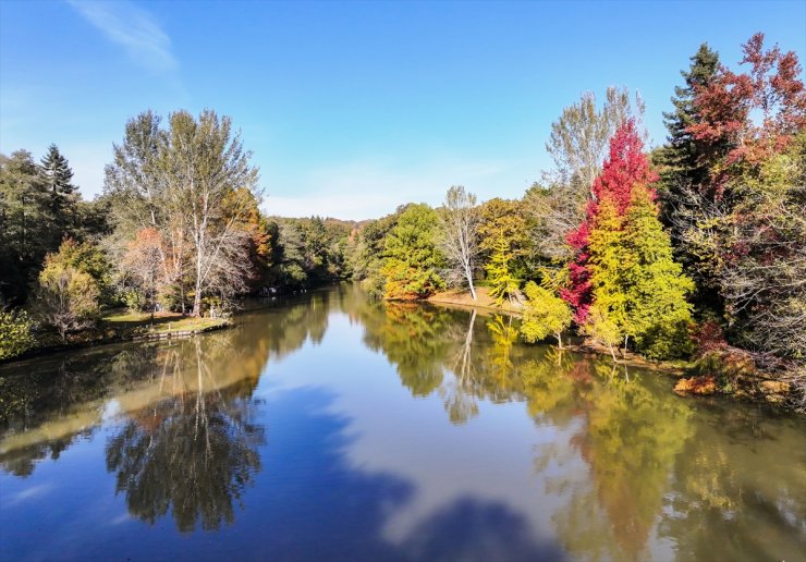 Atatürk Arboretumu'nda sonbahar renkleri