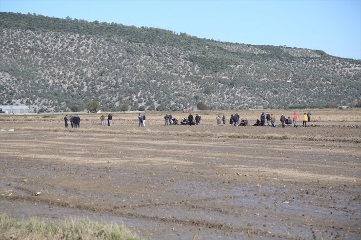 Muğla'da bir kişi, çift sürdüğü tarlada ölü bulundu