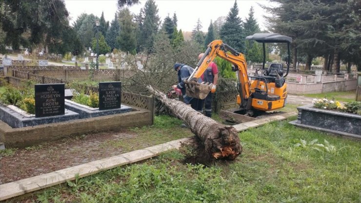 Zonguldak ve Düzce'de fırtınada devrilen ağaçlar mezarlara zarar verdi