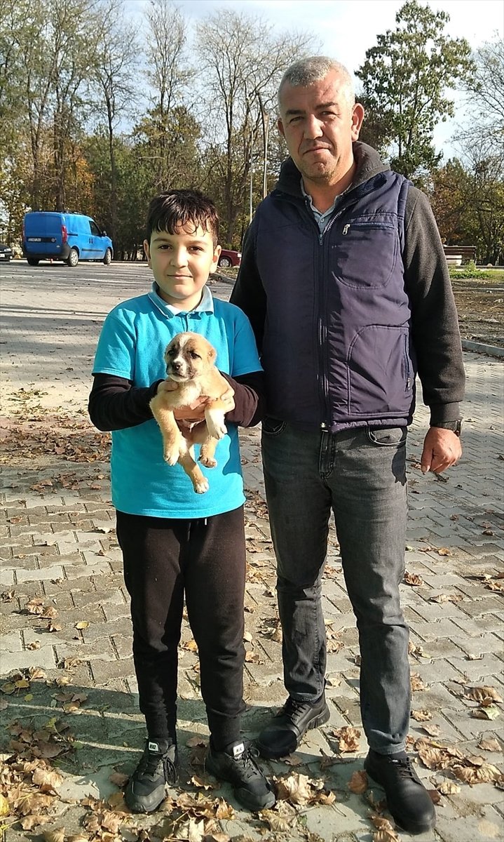 Edirne'de hayvan barınağı önüne çuval içinde kulakları ve kuyruğu kesik köpek yavrusu bıraktılar