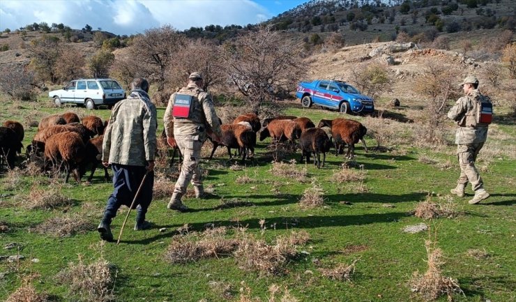 Elazığ'da kaybolan 40 koyun dron görüntüleriyle bulundu