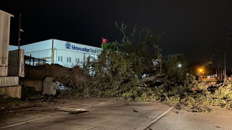 Bursa'da kuvvetli lodos yaşamı olumsuz etkiledi