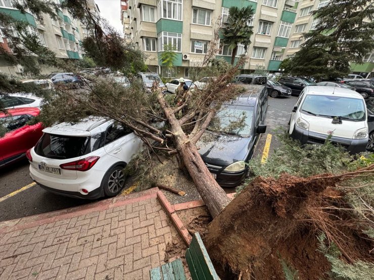 İstanbul'da fırtına hayatı olumsuz etkiledi