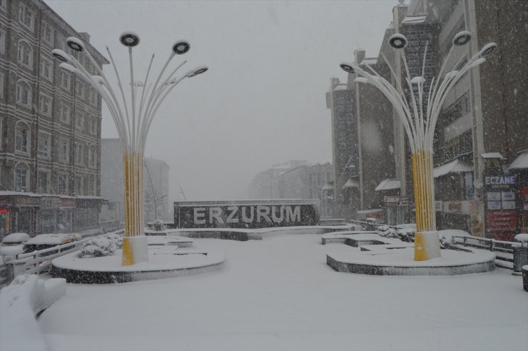 Erzurum ve Ardahan il merkezi ile Kars'ın yüksekleri karla kaplandı