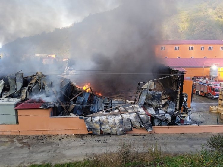 GÜNCELLEME - Giresun'da balık işleme fabrikasının soğuk hava deposundaki yangın kontrol altına alındı