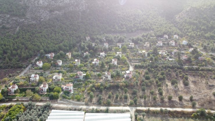 Bilecik'teki "emekliler köyü"nde ikinci baharını eşi ve güvercinleriyle geçiriyor