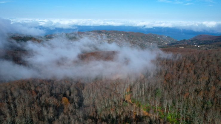 Kastamonu'da vadilere çöken sis ve ormanlık alanlar dron ile görüntülendi