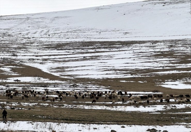 Kars ve Ardahan'da kar etkili oldu