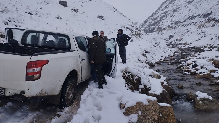 Hakkari'de yaralı at mahsur kaldığı yaylada ekiplerce kurtarıldı