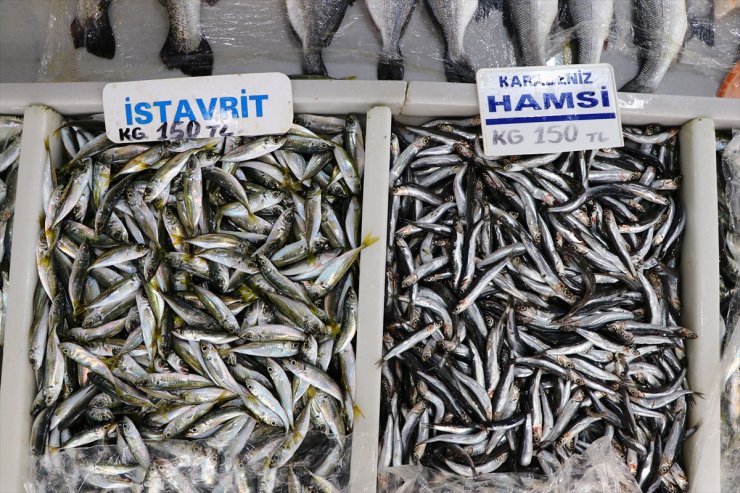 Balıkçılar limana büyük balıktan çok hamsi ve istavritle dönüyor