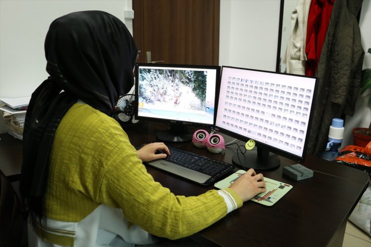 Kastamonu'da yaban hayatı akademisyenlerce mercek altına alındı