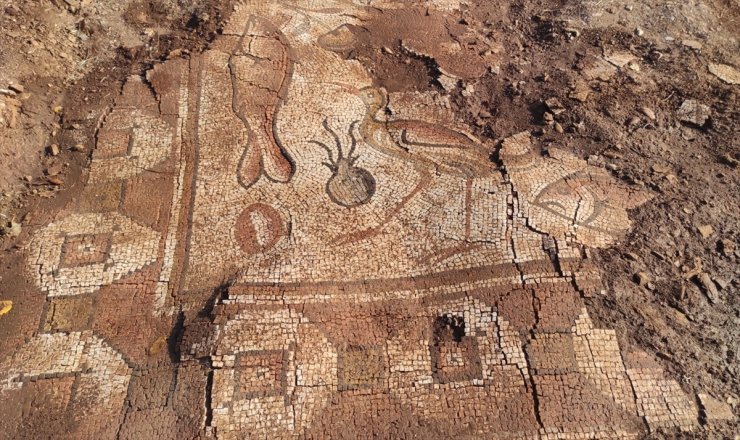 Mardin'de kurtarma kazısında deniz canlıları figürlü mozaikler bulundu