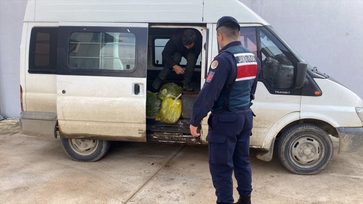 Sinop'ta 11 düzensiz göçmen yakalandı