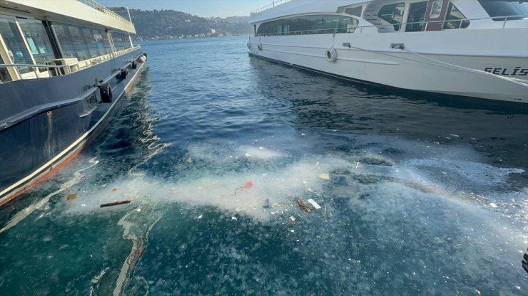 Beşiktaş Arnavutköy sahilinde kirlilik nedeniyle denizanaları görüldü