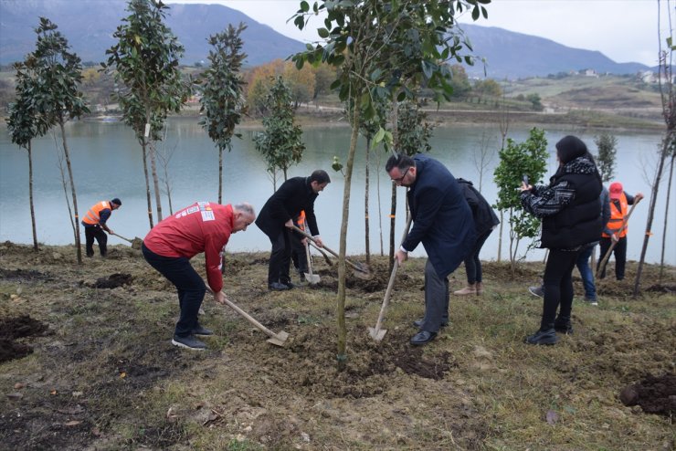 TİKA, Arnavutluk'ta fidan dikti