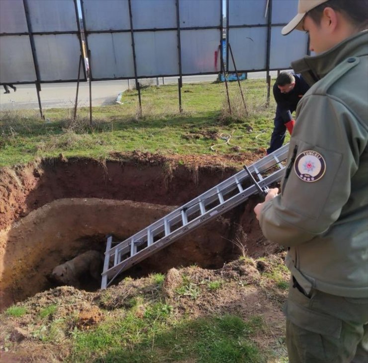 Tunceli'de kuyuya düşen köpeği itfaiye ve polis ekipleri kurtardı