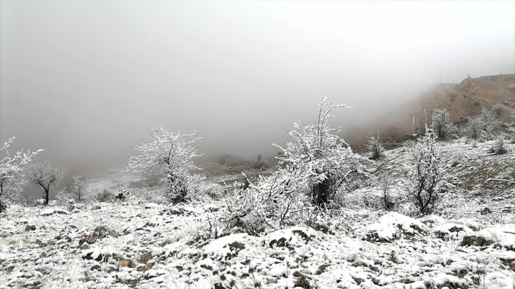 Amasya'da kar ve sis etkili oldu