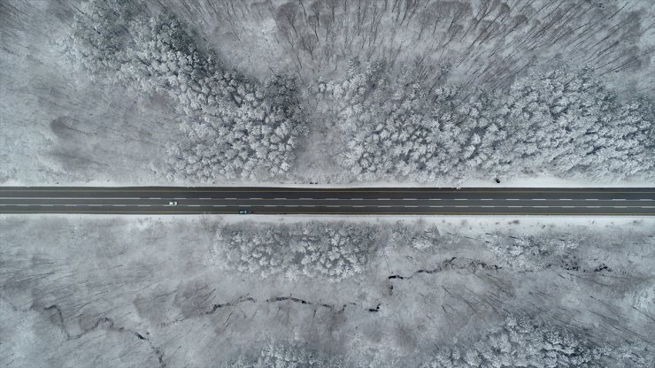 Kırklareli'nde "beyaza bürünen" Istranca Ormanları havadan görüntülendi