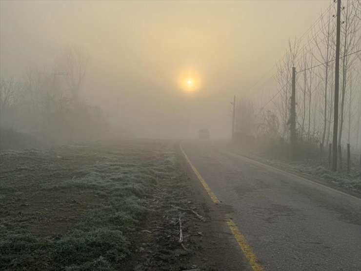 Bolu, Düzce ve Karabük'te sis etkili oldu