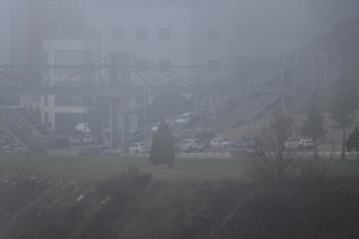 Kocaeli, Düzce ve Karabük'te sis etkili oldu