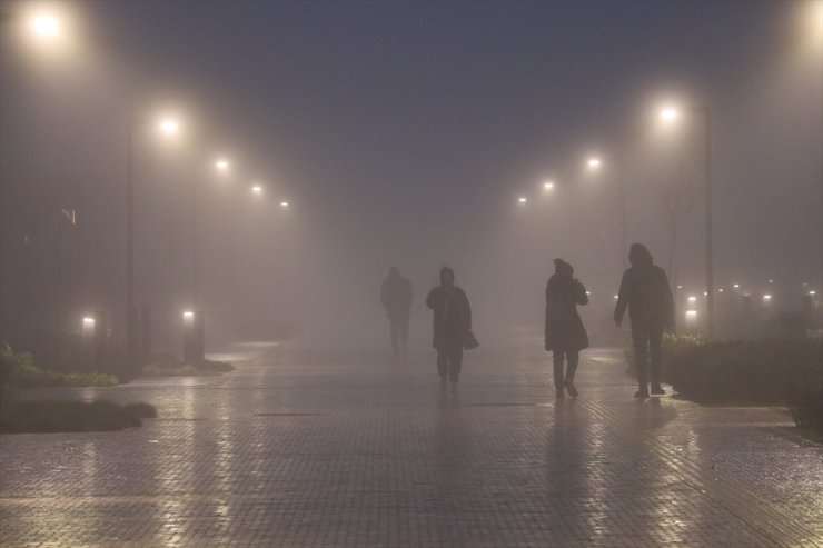 Edirne'de yoğun sis etkili oluyor