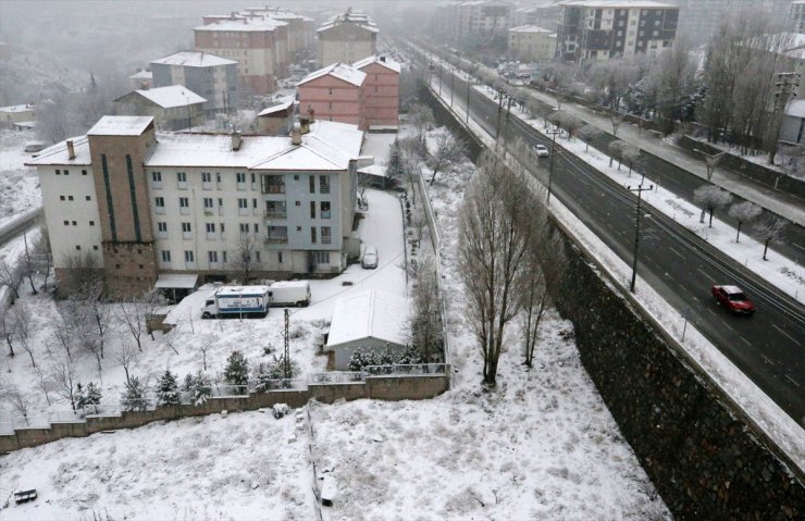 Muş ve Bitlis'te kar yağışı etkili oldu