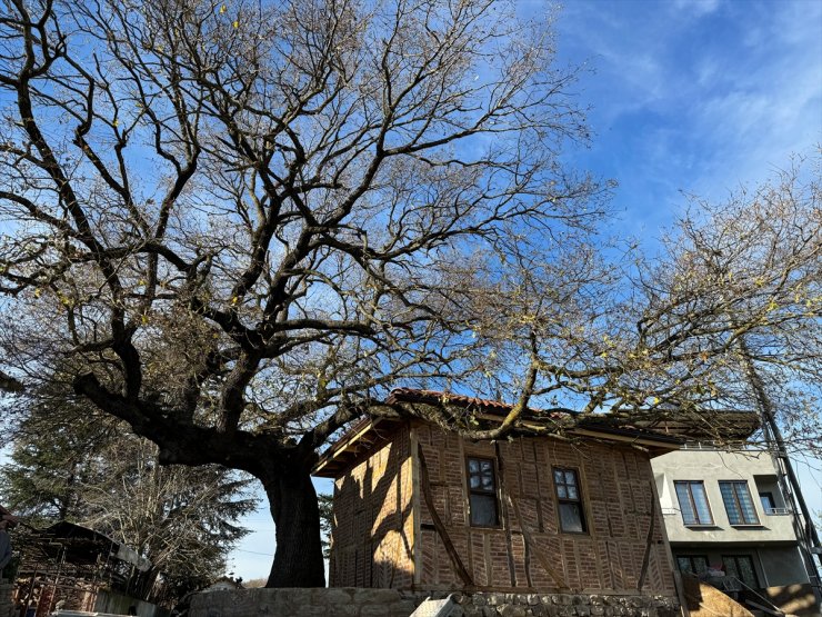 Yalova'daki son dönem Osmanlı mimarisi örneği mescidin restorasyonu tamamlanıyor