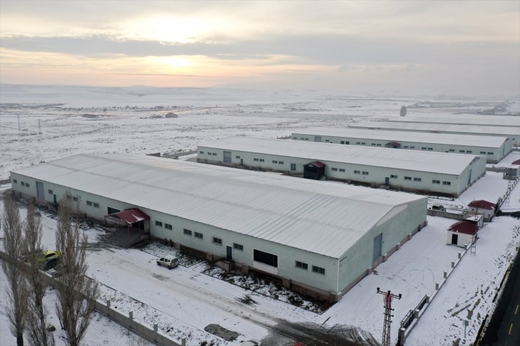 Ağrı'da tasarlanarak üretilen çantalar yurt dışında alıcı buluyor