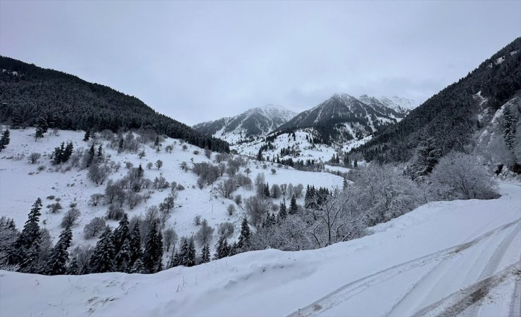 Artvin ve Gümüşhane'de kar etkili oluyor