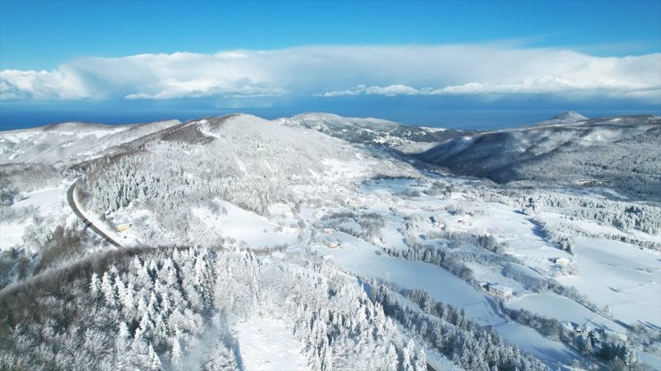 Kastamonu'da ormanlar beyaz örtüyle kaplandı