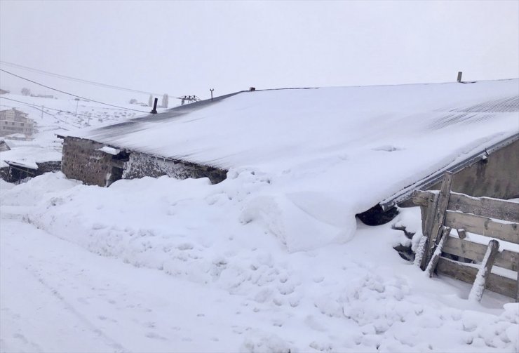 Erzurum, Ardahan ile Kars'ta soğuk hava etkili oluyor