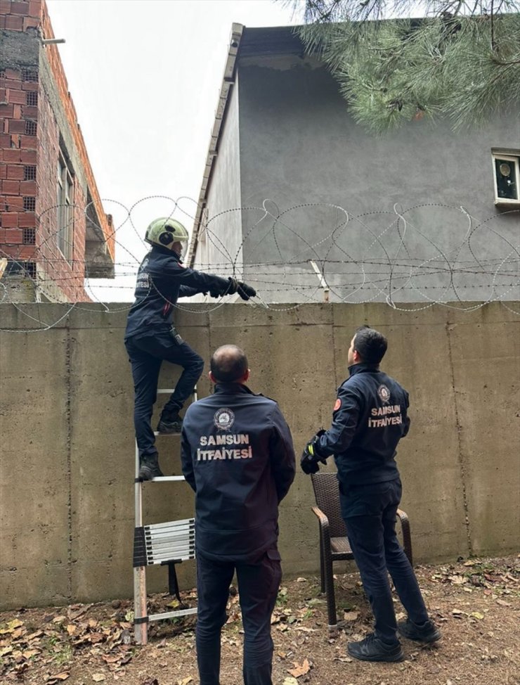 Samsun'da askeri alanda tellere takılan kediyi itfaiye ekipleri kurtardı