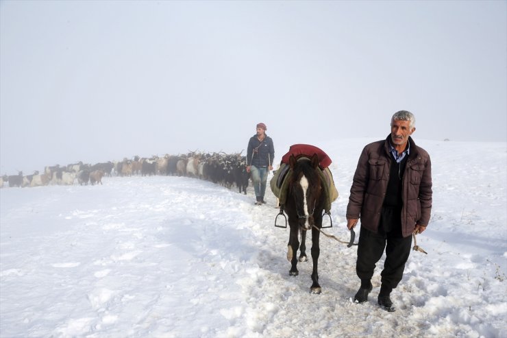 Muş'ta besiciler karlı yolları aşarak küçükbaş hayvan sürülerini köye ulaştırdı