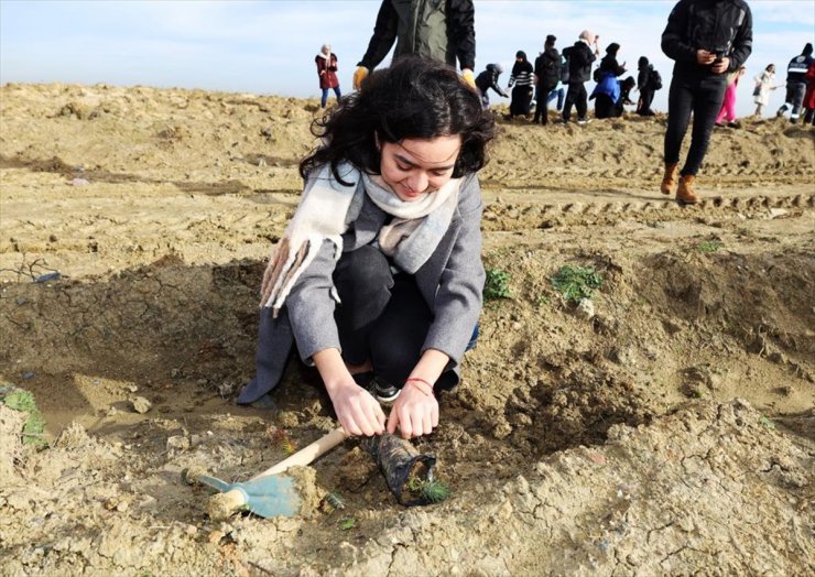 Bizim Dünyamız Vakfı, Arnavutköy'de yüzlerce fidanı toprakla buluşturdu