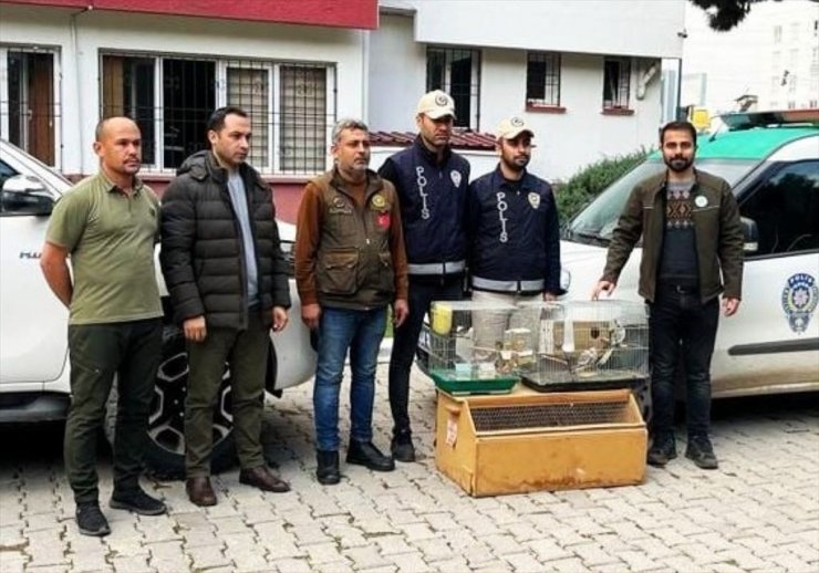 Osmaniye'de istilacı kuş satışı yapan iş yerinin sahibine para cezası