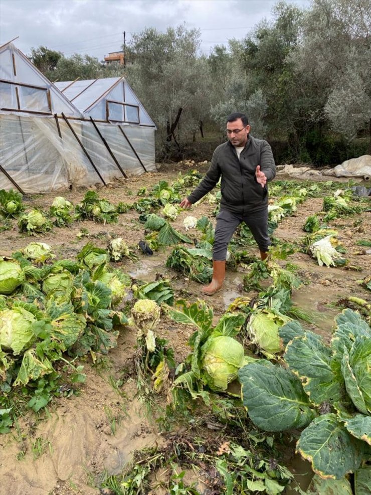 Alanya'da sağanak seralardaki ürünlere zarar verdi