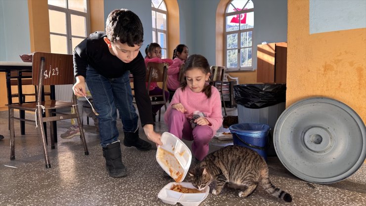 Öğrenciler köy okulundaki "Aşure" adlı kedinin yanından ayrılmıyor