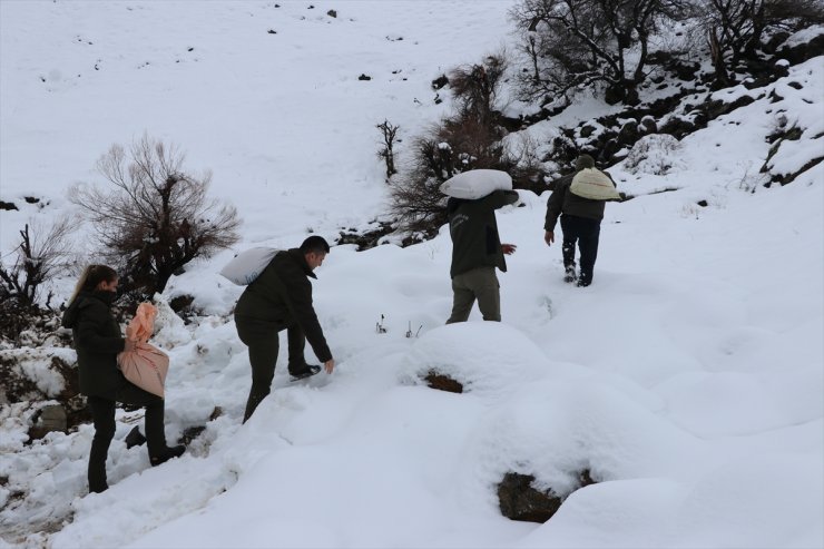 Siirt'te yaban hayvanları için doğaya yem bırakıldı