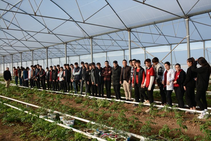 Hollanda Büyükelçiliğinden gönderilen lale soğanları Şırnak'taki okulda dikildi